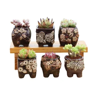 4/5/6 Pots Set Ceramic Clay Pottery Pots | Succulent Flower Planter, Draining Hole (Style 04# 6 Pots Set)