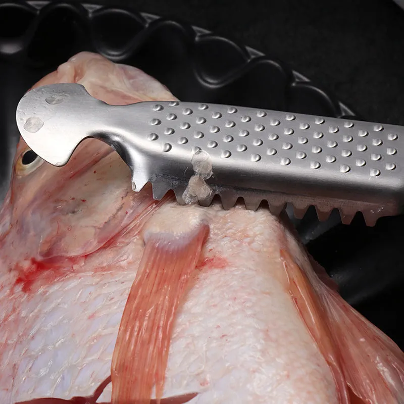 Limited Time 50% OFFStainless Steel Fish Scaler Remover